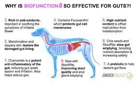 We did not find results for: Can Dogs Have Too Much Protein Dogsfirstireland Raw Dog Food