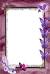 Background Photo Frames