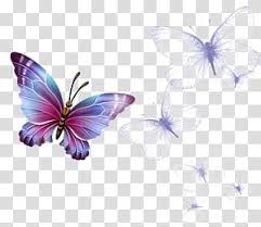 White And Purple Butterflies Monarch Butterfly Greta Oto Butterfly Transparent Background Png Purple Butterfly Wallpaper Butterfly Background Rose Line Art