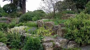 The term xeriscape is derived from the greek word xeros, which means dry. Xeriscape Garden Ideas