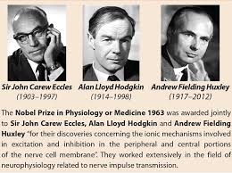 27, 1903, melbourne , australia—died may 2, 1997, contra, switz.), australian research physiologist who received (with alan hodgkin and andrew huxley ) the 1963 nobel prize for physiology or medicine for his discovery of the chemical means by which. Molecular Cell Biology By Msd Posts Facebook