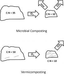 Read online books for free new release and bestseller The Basics Of Vermicomposting Oklahoma State University