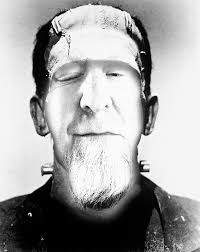 Photos of Horses at Horse Haven