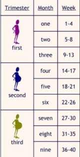 A Las Cuantas Semanas Se Cumplen Los 7 Meses Los Mejores Consejos Para Tu Embarazo Babycenter