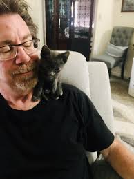 Tiny cat recovering from illness