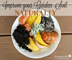 This part is really interesting. 7 Ways To Improve Your Garden Soil Naturally Fresh Eggs Daily