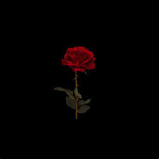 Aesthetic Black And Red Rose Wallpaper Download the perfect black aesthetic pictures. aesthetic black and red rose wallpaper