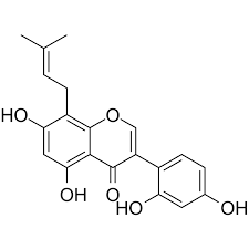 Image result for Erythrina sacleuxii