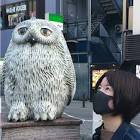 木村真実子