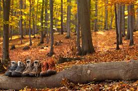 Manche : 4 activit&eacute;s pour (bien) rentrer dans l'automne