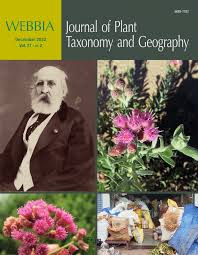 Image result for Schlechterina mitostemmatoides