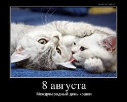 We did not find results for: Vsemirnyj Den Koshek Kartinki Krasivye I Prikolnye Vsyo Dlya Prazdnika