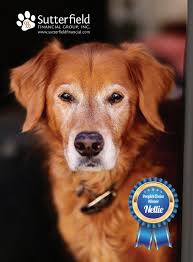 bmonthly April 2024 by bmonthly Magazine