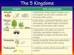 Some of the cell organelles are present in both the plant and animal cell which help them to do the basic cellular activities. Biology Features Of Organisms B1 3 Diagram Quizlet