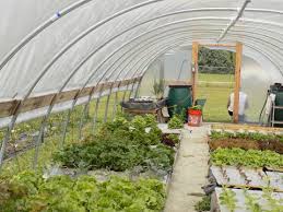 While it may be harder to grow certain summer vegetables, this couldn't be further from the truth. How To Build A Greenhouse Find Free Homemade Greenhouse Plans Online Bootstrap Farmer