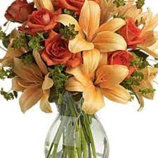 Maybe you would like to learn more about one of these? Oak Creek Plants Flowers 27 Photos 18 Reviews Nurseries Gardening 3435 S 13th St Lincoln Ne Phone Number Yelp