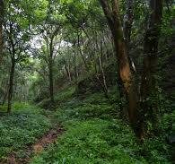 China | IUCN