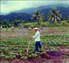 The original name of the music video el agricultor is el tigrillo palma _ el agricultor. Historia De Vida De Agricultor A Presidente Fontagro