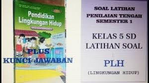 30 full pdfs related to this paper. Kelas 5 Plh Latihan Pts 1 Youtube