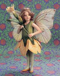 Primrose Fairy Dolls Fairy Art Fairy Pictures