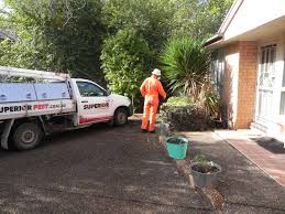 Building inspection prices from $229 incl gst. Pre Purchase Pest Building Inspections In Newcastle