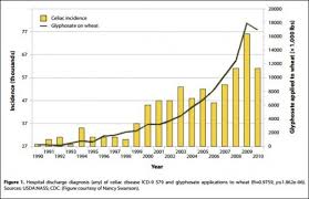 Roundup Bread The Real Reason Americans Are Intolerant To Wheat