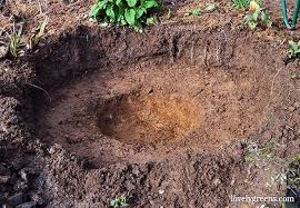 Ponds with live plants should receive four to six hours of full sun. How To Build A Small Pond For The Garden Lovely Greens