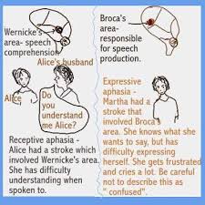 Dear Nurses Receptive And Expressive Aphasia Expressive Aphasia Aphasia Therapy Aphasia