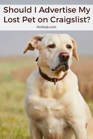 Apply to leasing associate, leasing professional, real estate agent and more! Craigslist Boise Missing Pets