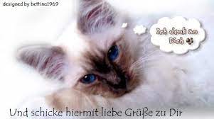 Siehe dir jetzt weitere liebessprüche mit bildern an. Ich Denk An Dich Kostenlose Gastebuchbilder