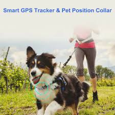 If i'd have had a gps tracking device on my dog, i'd have seen that. Pet Smart Waterproof Gps Tracker Collar Location Track Device For Dog Cat Ebay