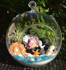 Little Mermaid Beach Terrarium Kit 7 Air Plant Etsy Terrariums Kits Air Plants Terrarium