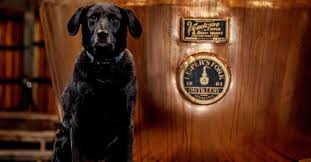 Leiper's fork produces premium small batch whiskey and soon, their first bottles of bourbon. Leiper S Fork Distillery Spirit Of Tennessee The Bourbon Road
