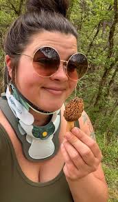 Goldenrod is Everywhere, in Kentucky