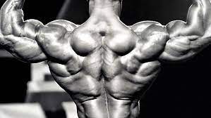 When we're talking about hypertrophy training, we're talking purely about training for muscle mass. Building A Bodybuilder Back T Nation