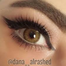 Pin On شيمو