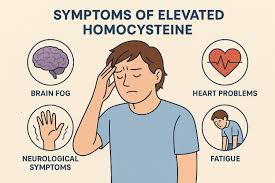 Image result for Homocysteine