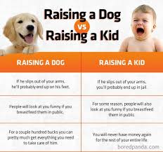 People Who Prefer Pets Over Kids Are Creating Funny Memes That Explain Their Choice Bored Panda