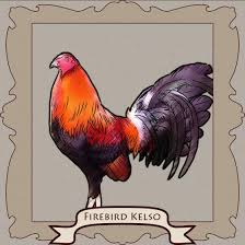 Kelso The Smartest Fighting Rooster And The Magic Of