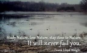 Image result for waterfowl quotes