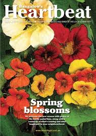 Bangalow Heartbeat November 2011 by Bangalow Heartbeat