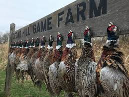 May 07, 2021 · there are many beautiful romantic places to stay just a short drive from philadelphia, making it easy to plan a memorable weekend trip from the city. Cedar Hill Game Farm Game Farm And Guide Service Listing In Midwest Wisconsin Huntspotz Your Hunting Land Guide