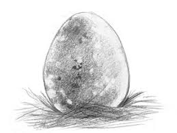 Have an epic moment in apex legends? How To Draw A Baby Dragon In A Egg Drawing Tutorial Easy