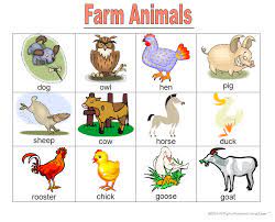 Farm Animal Games Word Cards And Books All With Learning Videos Farm Animals For Kids Farm Animals Pictures Animal Games