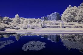 A small modern art museum on one of the hills. Botanischer Garten Tubingen Ii Ir Foto Bild Spezial Infrarot Tubingen Bilder Auf Fotocommunity