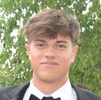 300+ "Fornaro" profiles