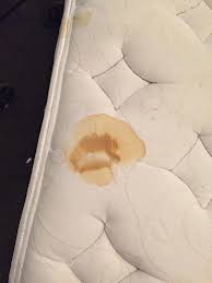 Simply spray the stain with undiluted white vinegar, and let it do its thing for about 5 minutes. Mum Uses 3 50 Wilko Spray To Remove Revolting Stains Off Her Dirty Mattress In Minutes