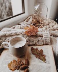 Deux Reines On Instagram Cozy Vibes Sending Out Our Love Gratitude For Each Every One Of You This In 2020 Autumn Photography Autumn Aesthetic Autumn Inspiration