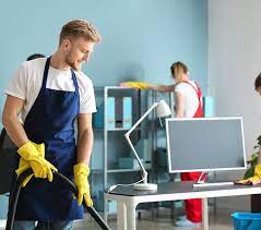 Professional Cleaning Services New Zealand- Mia Cleaner