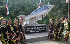 3) dewan melawati = weekend rm 500.00 sehari. Ikan Salarong Spesies Penting Penduduk Pagalungan Sabah Utusan Borneo Online